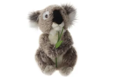 A stuffed koala toy is shown against a white background, holding a green leaf on a stem.