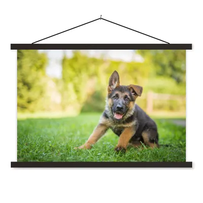 Produktbild von MuchoWow® Textilposter Welpe sitzt im Gras 150x100 cm mit schwarzem Rahmen - Schlafzimmer