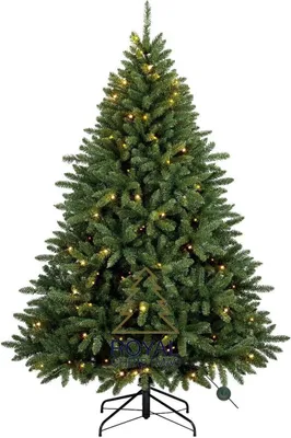 Produktbild von Royal Christmas® Künstlicher Weihnachtsbaum Washington 210 cm mit LED-Beleuchtung