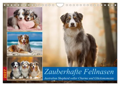 Produktbild von Zauberhafte Fellnasen (Wandkalender 2027 DIN A4 quer), CALVENDO Monatskalender