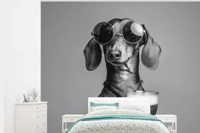 Produktbild von Fotobehang - Breit 300 cm x Höhe 240 cm