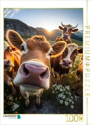 Produktbild von CALVENDO Puzzle Kühe | 1000 Teile Lege-Größe 64x48cm Foto-Puzzle für glückliche Stunden