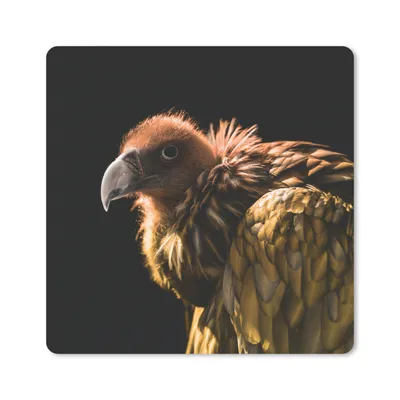 Produktbild von MuchoWow® Mauspad Mousepad Geier - Gold - Schwarz 20x20 cm - Mousepads - Maus Mat - Pad - Mausunterlage - Desk Mat - Bureauartikeln
