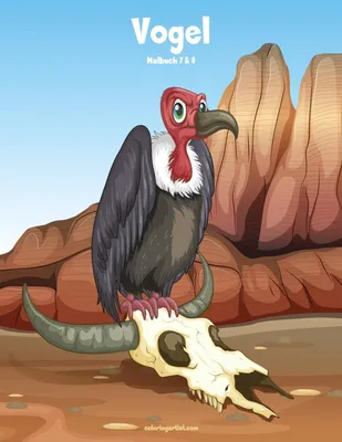 Zdjęcie produktu dla Vogel Kleurboek 7 & 8