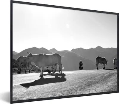 Produktbild von MuchoWow® Gerahmtes Poster Schottische Highlander - Licht - Berge - Natur 40x30 cm - Poster mit Schwarzem Bilderrahmen Wandposter Rahmen Foto Bilder - Kunstposter - Wanddekorationen