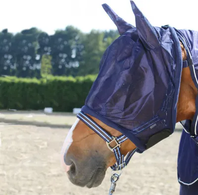 Immagine prodotto di Maschera per cavalli Pfiff fly - pony blu