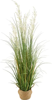 Image de SucceBuy Plante d'herbe artificielle, roseau de 1194 mm de haut en pot, plante en plastique PVC durable, idéale pour la décoration de la maison, du jardin, du bureau et de la pièce, 1 pièce, vert