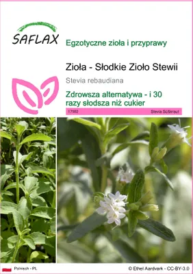 Zdjęcie produktu dla SAFLAX - Zioła - Słodkie Zioło Stewii - 100 Nasiona - Stevia rebaudiana