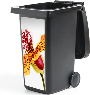 Produktbild von MuchoWow® Mülltonnenaufkleber Orange Orchidee 44x98 cm - Containeraufkleber - Aufkleber - Mülltonnen-Aufkleber
