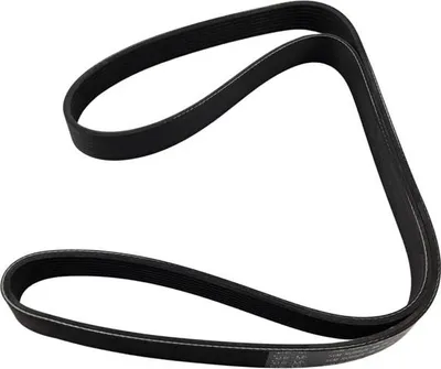 Image de Courroie poly-V Scania Renault DAF | R123307, 0500081525, avec nervures, 8PK1525, 1388161