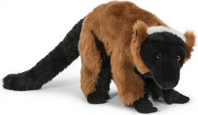 Produktbild von Plüschtier roter Vari 32cm, Kuscheltiere Stofftiere Lemur Zootiere Tiere Affe