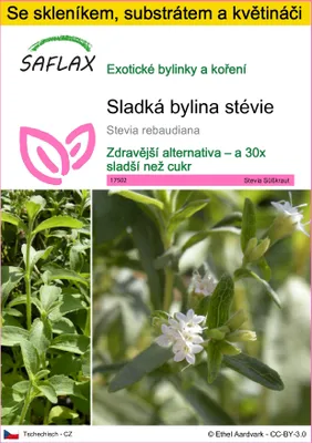 Obrázek produktu pro SAFLAX Kultivační sada - Sladká bylina stévie - Stevia rebaudiana - 100 Semena - S mini skleníkem, pěstebním substrátem a 2 květináči