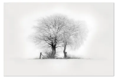Immagine prodotto di LUMASOUL Quadri su tela 90x60 cm, Motivo invernale 2, Quadri da Parete per Soggiorno e Camera da Letto, 1 pezzo