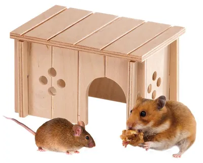 Immagine prodotto di Cuccia in legno Ferplast per criceti, gerbilli e topi, modello SIN 4642, realizzata con legno