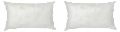 Produktbild von IKEA INNER Kissenfüllung 2 Stück 40x58 cm