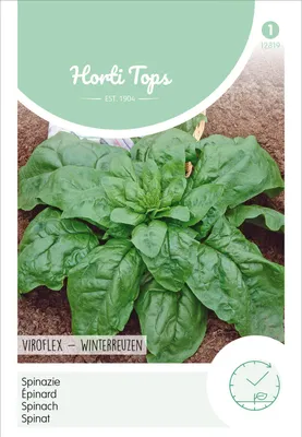 Produktbild von Spinat Viroflex Winterriesen | Spinatsamen von Hortitops