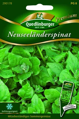 Produktbild von Neuseeländerspinat | Spinatsamen von Quedlinburger