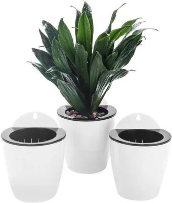 Produktbild von Ibenzoa® Selbstbewässernde Hänge-Blumentopf-Set (3 Stück) – Innen & Außen, doppelwandig mit Dochtsystem, herausnehmbare Einsätze, inkl. Haken & Nägel, ideal für Kräuter