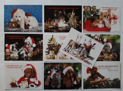 Produktbild von Ansichtskarten Weihnachten 10er, Postkarten Tiere Hund Katze Weihnachtsmann Grußkarte