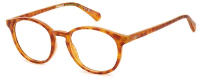 Image de Lunettes unies Polaroid PLD D498 Havana 50/20/145