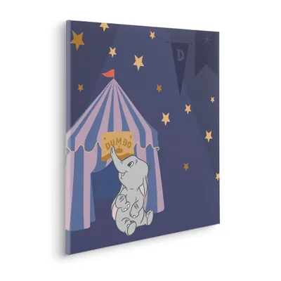Produktbild von Keilrahmenbild - Starry Night with Dumbo - Größe 60 x 60 cm