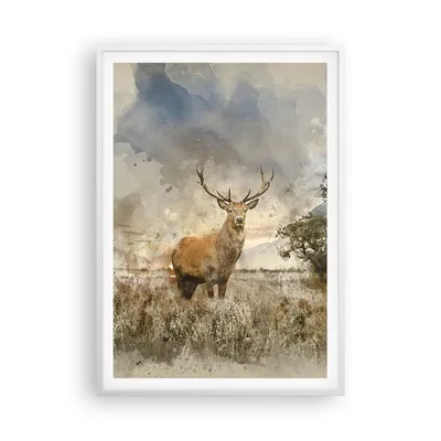 Produktbild von Gerahmtes Poster - Weißer Rahmen - rotwild natur - 70x100 cm - Wand Bild - Wanddeko - Wandbilder - Kunstposter - Wandposter - Bilderrahmen - Bilder - Kunstdruck - Wandbild - P2WPA70x100-3465