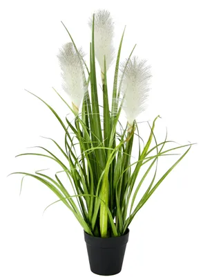 Immagine prodotto di Pianta artificiale per la decorazione di interni ed esterni