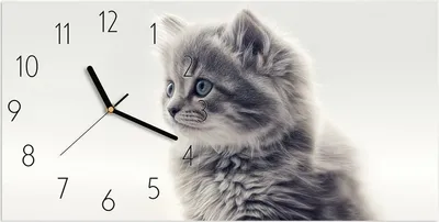 Produktbild von Wanduhr aus Glas mit Motiv Kitten Portrait- 60 x 30 cm - inkl. Aufhängesystem