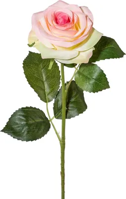 Produktbild von künstliche Rose rosa H. 53cm GASPER Kunstblumen