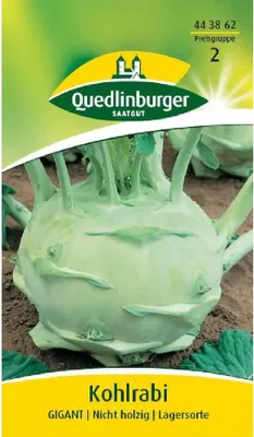 Produktbild von Kohlrabi Gigant | Kohlrabisamen von Quedlinburger