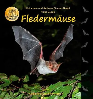 Image de Fledermäuse
