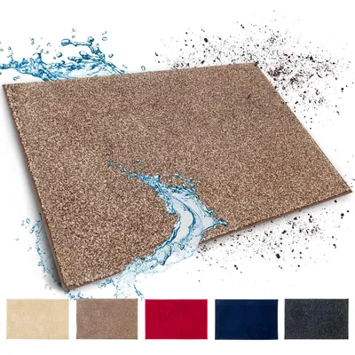Image de Tapis anti-salissures Floordirekt Nasa, rectangulaire, hauteur 14 mm, lavable à 30 °C, absorbant, paillasson pour l'entrée – Marron, 50 x 80 cm