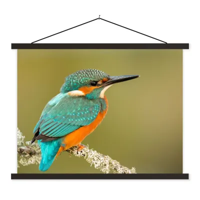 Produktbild von MuchoWow® Textilposter Eisvogel - Tiere - Vogel 150x113 cm mit schwarzem Rahmen - Wohnzimmer