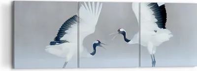Produktbild von Bild auf Leinwand - Leinwandbild - 3 Teile - Kraniche kämpfen tanzen - 120x40cm - Wand Bild - Wanddeko - Wandbilder - Leinwanddruck - Bilder - Wanddekoration - Leinwand bilder - CA120x40-4497