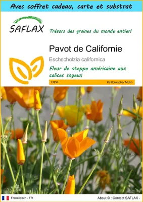 Image de SAFLAX Ensemble-cadeau - Pavot de Californie - 1500 graines - Eschscholzia