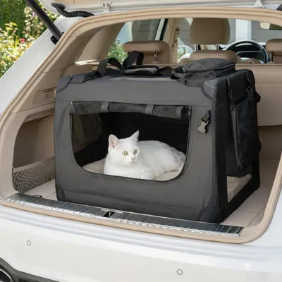 Produktbild von belviona Katzentransportbox, leichte & stabile Transporttasche Katzen, faltbar mit Mesh-Fenstern, Innenkissen & Taschen, 70x52x50 cm, schwarz