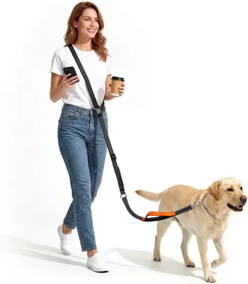 Productafbeelding van Handsfree hondenriem - 3-in-1 - verstelbaar 80 cm tot 2,35 m - twee handgrepen - voor middelgrote en grote honden