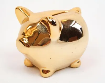 Produktbild von Dolomit Sparschwein XL 9x7cm verchromt