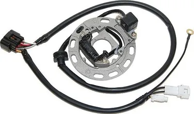 Produktbild von Elektrosport Lichtmaschinenwicklung (Stator) Für Kawasaki Kx 85/100 '06-'13 (Komplette Zündung )