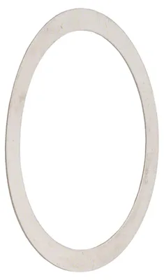 Produktbild von Jagwire Unterlegscheibe für Centerlock Verschlussring 0,15 mm Silber - präzis....