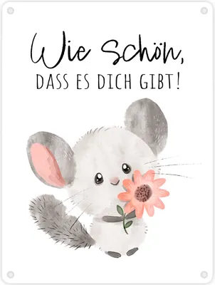 Produktbild von Chinchilla Metallschild in 15x20 cm mit Spruch Wie schön dass es dich gibt