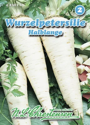 Produktbild von Wurzelpetersilie Halblange | Petersiliensamen von N.L. Chrestensen