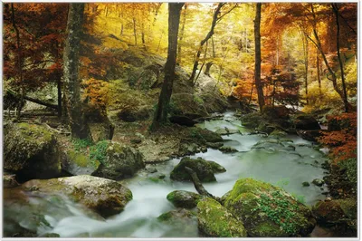 Produktbild von Wallario Wandbild Wasserfall mit moosbedeckten Steinen im Herbstwald, Größe: 61 x 91,50 cm, Poster mit weißem Aluminiumrahmen