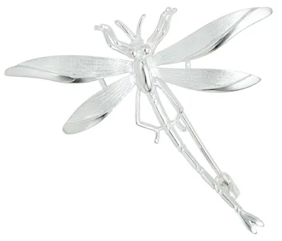 Brosche-Anhänger-Libelle-aus-925-Silber