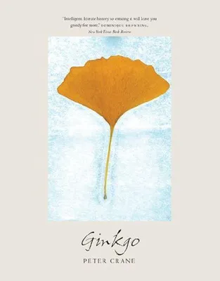 Produktbild von Ginkgo