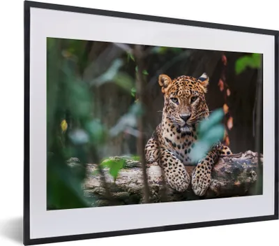 Produktbild von MuchoWow® MuchoWow® Gerahmtes Poster Panther - Dschungel - Tiere 40x30 cm - Poster mit zchwarzem Bilderrahmen - Bilderrahmen - Poster im Rahmen