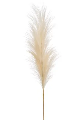 Produktbild von künstliches Pampasgras Federzweig creme H. 100cm Emerald Kunstblumen