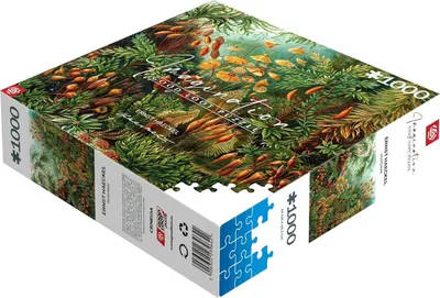 Zdjęcie produktu dla Cenega Imagination, 1000 szt., Artystyczny