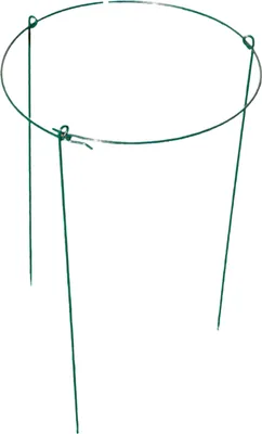 Image de Support de plantes en métal 60x35cm Support pour fleurs Support pour plantes vivaces Support pour rosiers Aide pour grimper