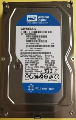 Produktbild von Western Digital WD2500AAJS  250GB SATA2 3,5"